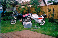 les motos de base.gif