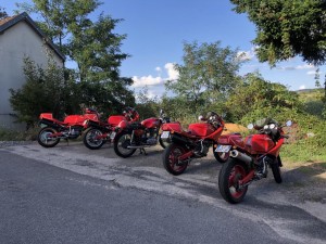IMG_4871.jpg