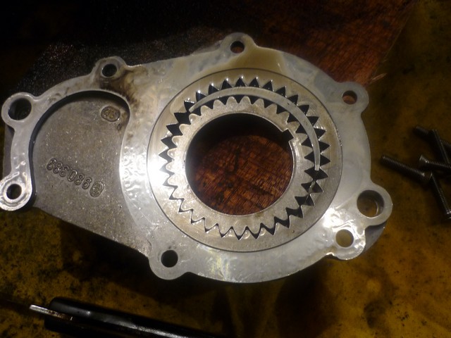 P1000242.jpg